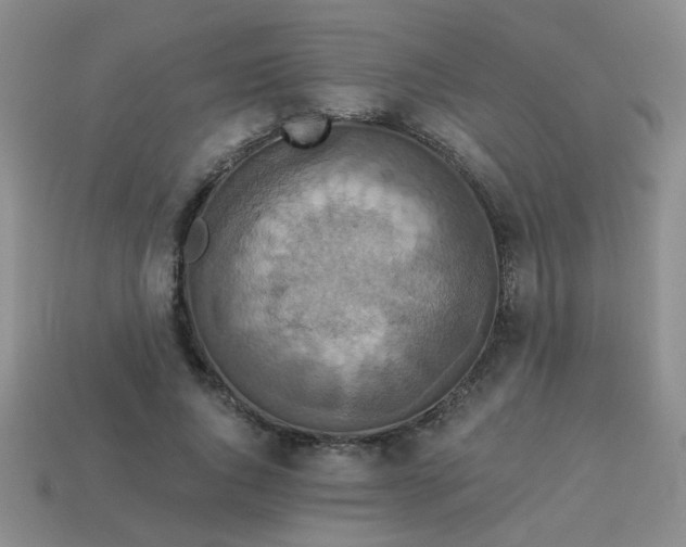 X0000113880736200910151313