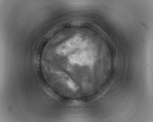 X0000113880737200910151313