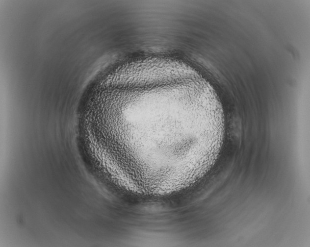 X0000113880738200910151313