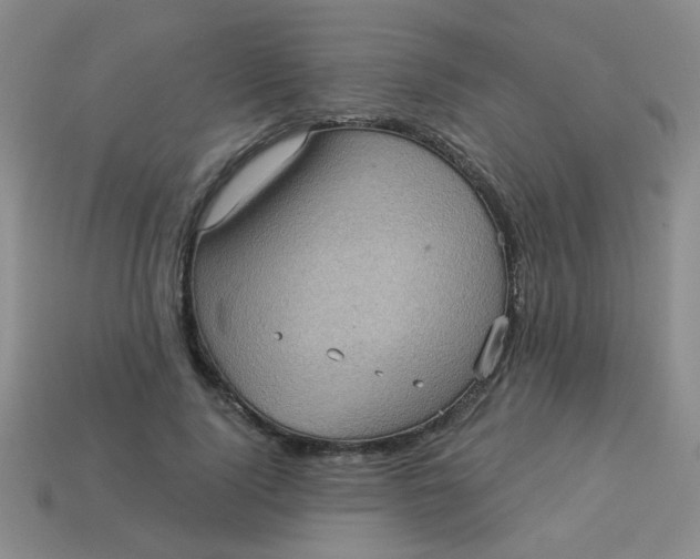 X0000113880740200910151313