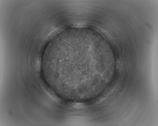 X0000113880741200910151313