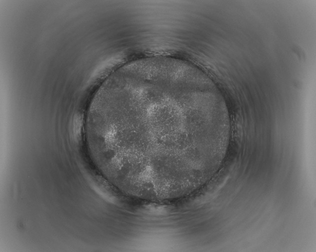 X0000113880742200910151313