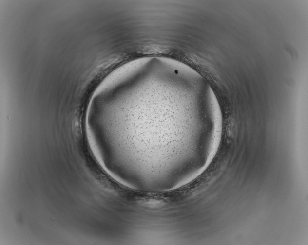 X0000113880743200910151313