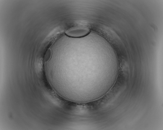 X0000113880744200910151313