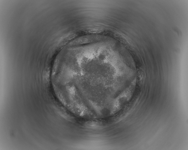 X0000113880745200910151313