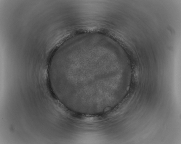 X0000113880746200910151313