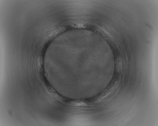 X0000113880747200910151313