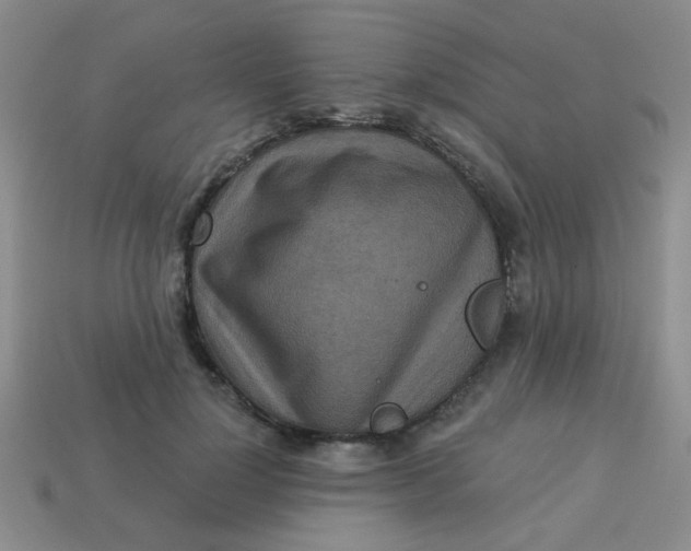 X0000113880748200910151313