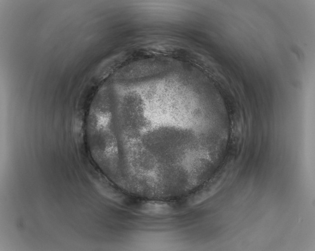 X0000113880749200910151313