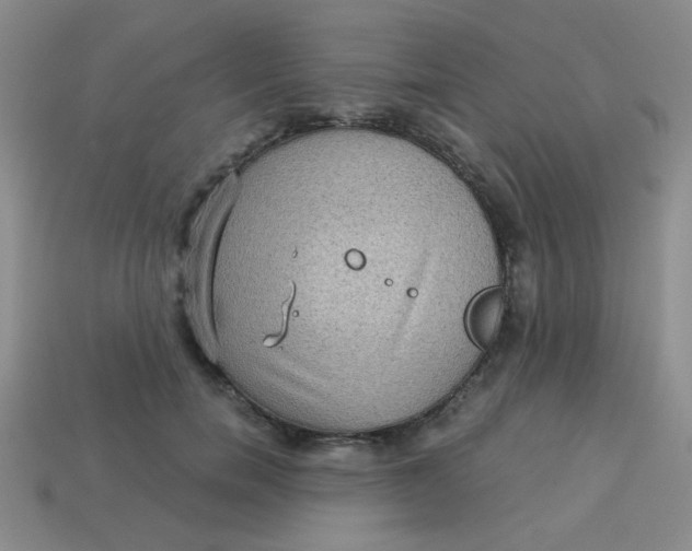 X0000113880750200910151313