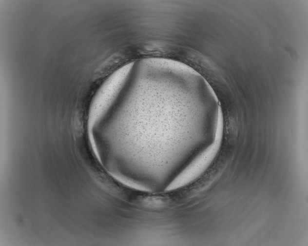 X0000113880751200910151313