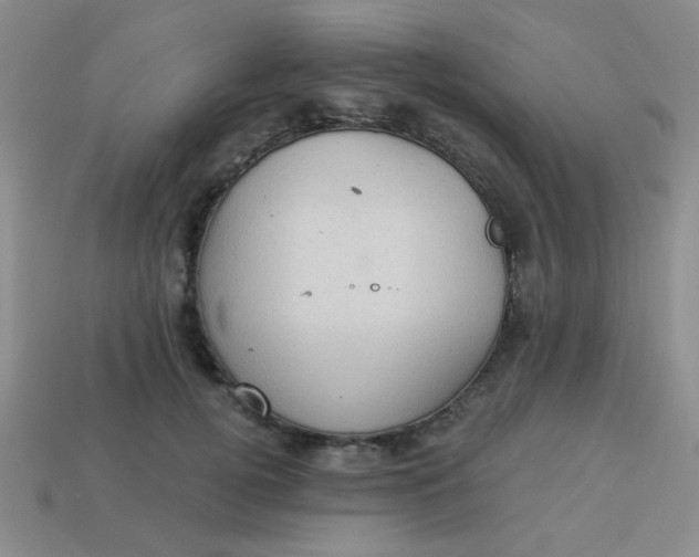 X0000113880752200910151313