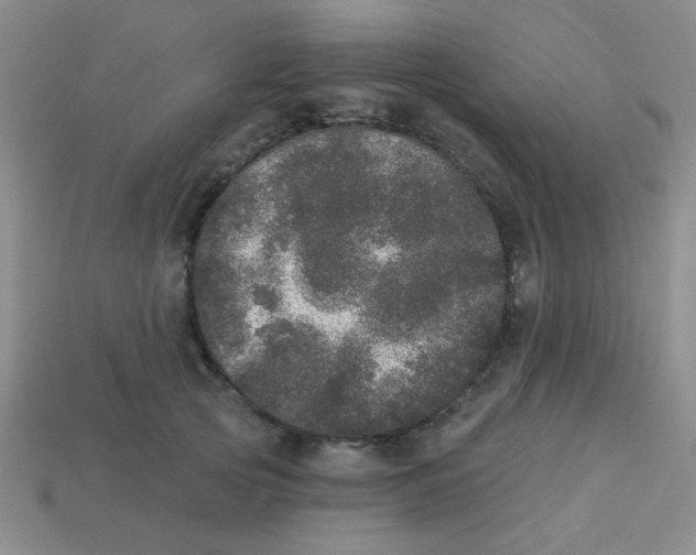 X0000113880753200910151313