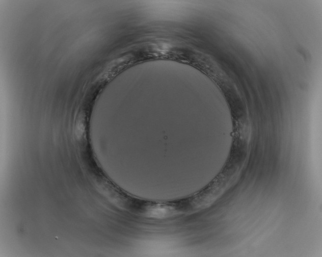 X0000113880754200910151313