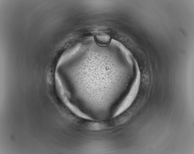 X0000113880755200910151313