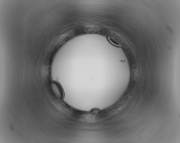 X0000113880756200910151313