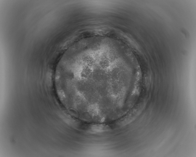 X0000113880757200910151313