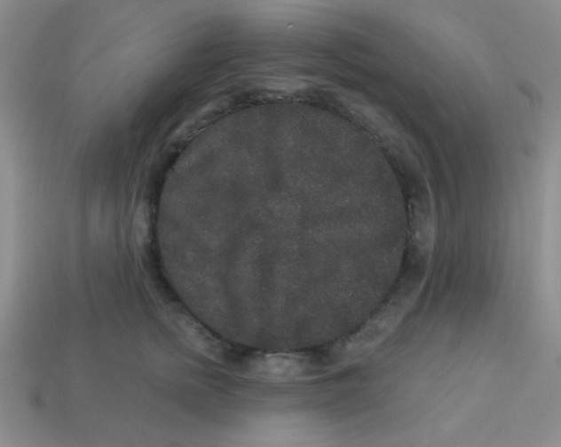 X0000113880758200910151313