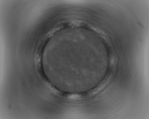 X0000113880759200910151313