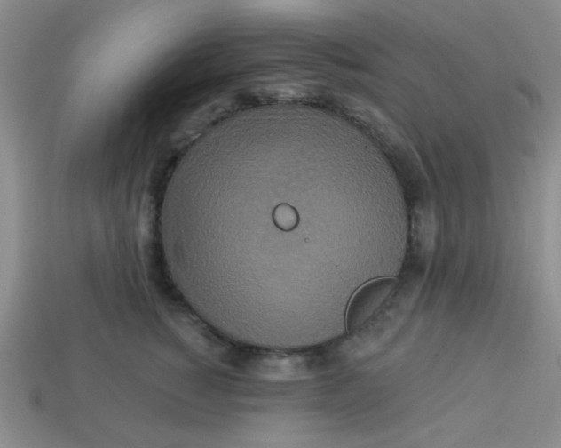 X0000113880760200910151313