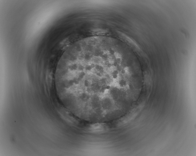 X0000113880761200910151313