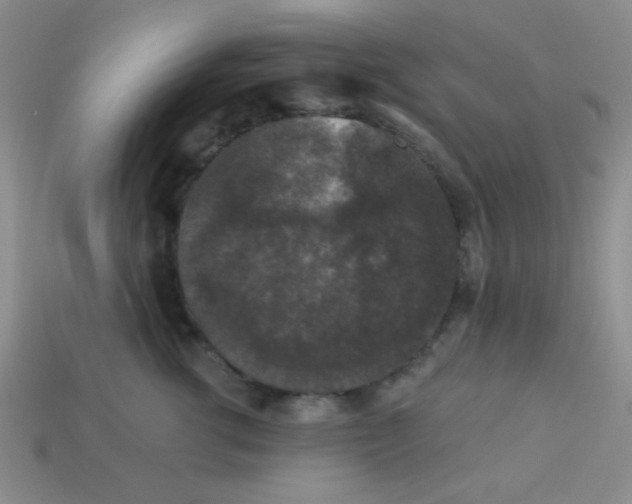 X0000113880762200910151313