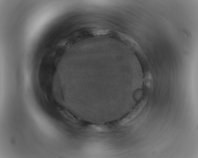 X0000113880763200910151313