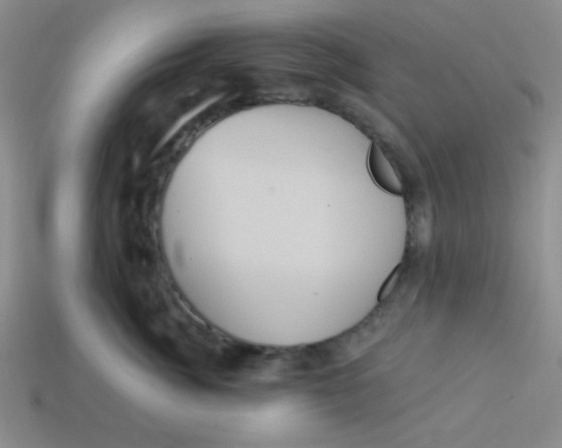 X0000113880764200910151313