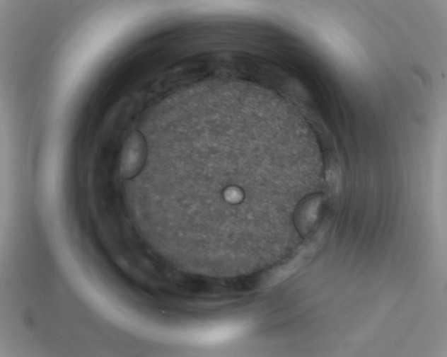 X0000113880765200910151313