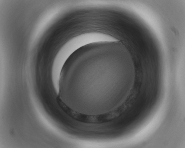 X0000113880766200910151313