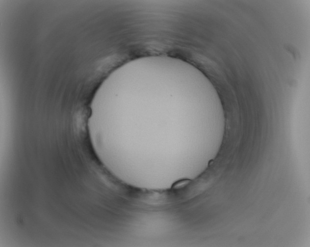 X0000113880768200910151313