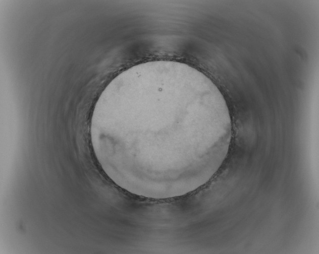 X0000113880769200910151312