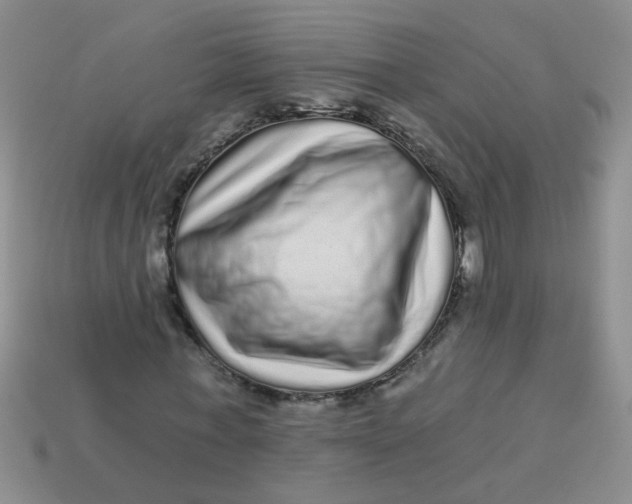 X0000113880771200910151312