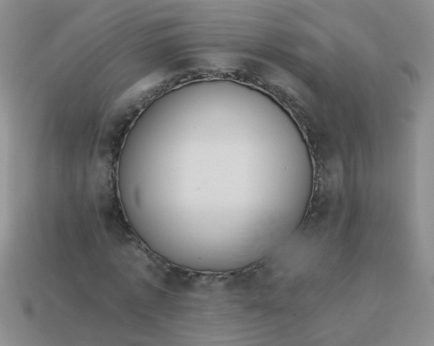 X0000113880773200910151312