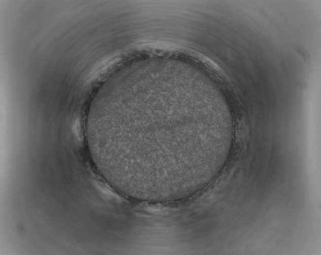 X0000113880774200910151312