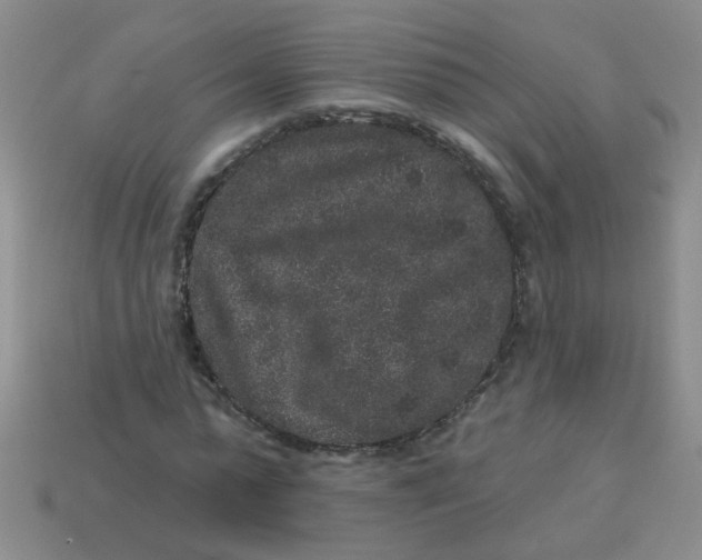 X0000113880775200910151312