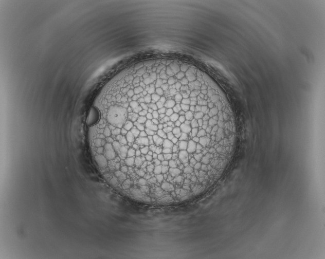 X0000113880776200910151312