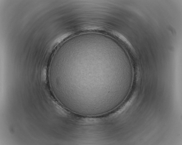 X0000113880777200910151312