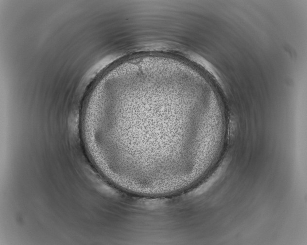 X0000113880778200910151312