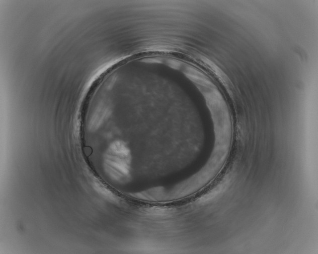 X0000113880779200910151312