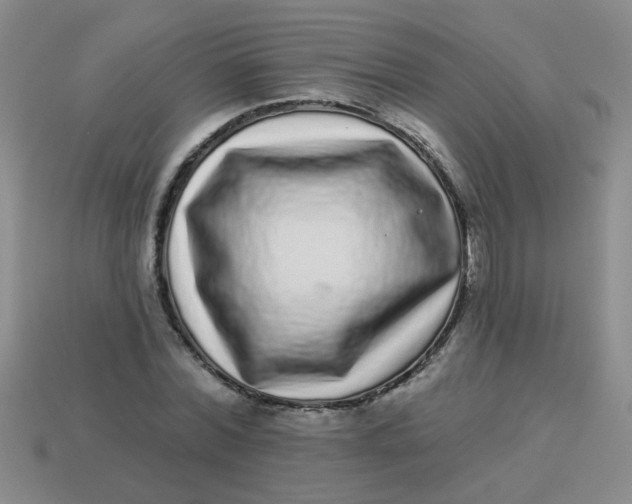 X0000113880780200910151312