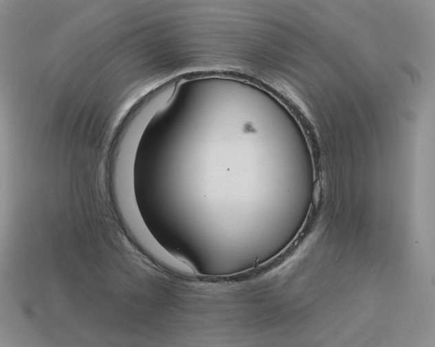 X0000113880781200910151312