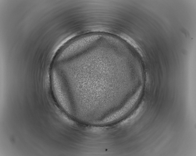 X0000113880782200910151312