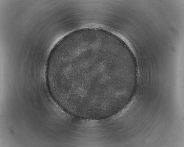 X0000113880783200910151312