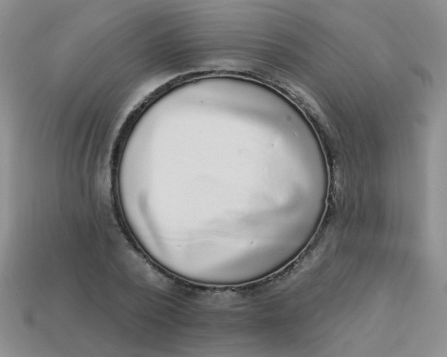 X0000113880784200910151312