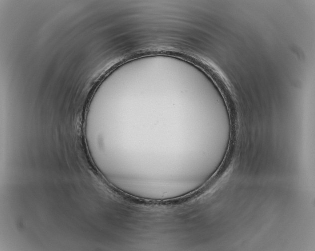 X0000113880785200910151312