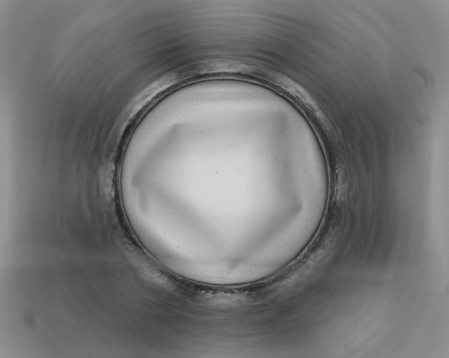 X0000113880786200910151312