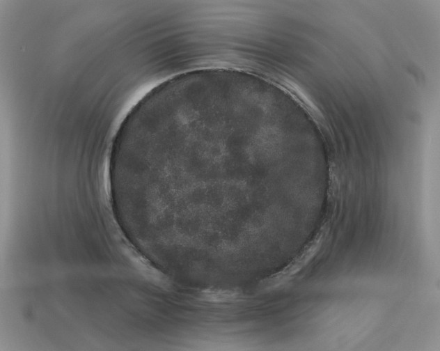 X0000113880788200910151312