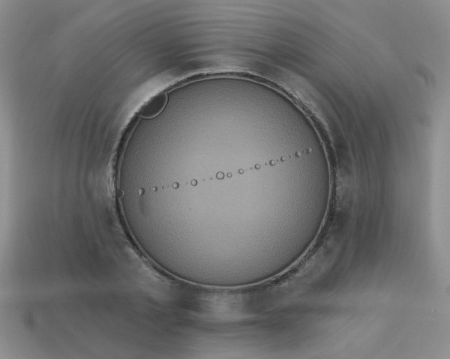 X0000113880789200910151312