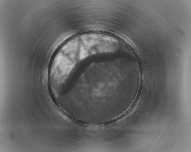 X0000113880790200910151312